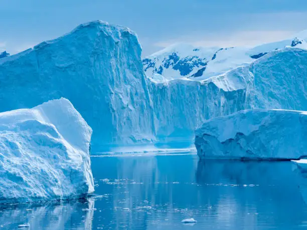 Photo of Crusing the Lemaire Channel among drifting icebergs, Antarctic Peninsula. Antarctica