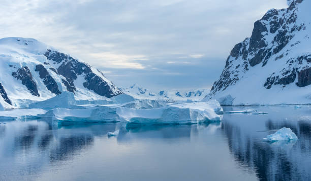 Crusing the Lemaire Channel among drifting icebergs, Antarctic Peninsula. Antarctica stock photo