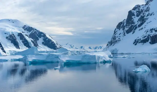Photo of Crusing the Lemaire Channel among drifting icebergs, Antarctic Peninsula. Antarctica