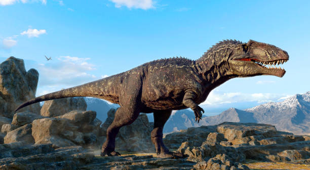 istock Giganotosaurus from the Cretaceous era 3D illustration 1383119749