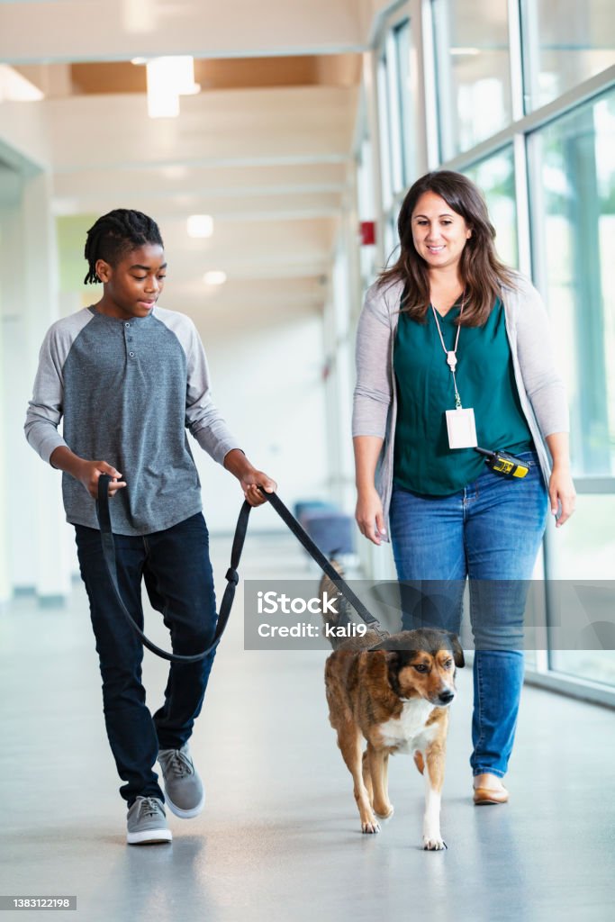 Volunteer at animal shelter helping boy walk dog A woman volunteering at an animal shelter helping an African-American boy as they walk a rescue dog down the hallway. The boy is getting to know the dog in a meet and greet, part of the pet adoption process. Volunteer Stock Photo