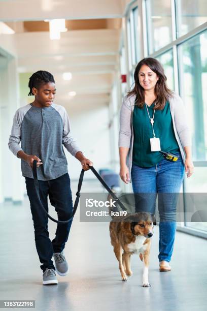 Volunteer At Animal Shelter Helping Boy Walk Dog Stock Photo - Download Image Now - Volunteer, Animal Shelter, Child