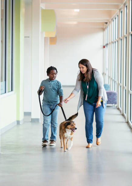istock Volunteer at animal shelter helping boy walk dog 1383122201
