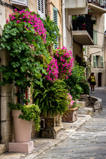 istock Flowery street 1383122806
