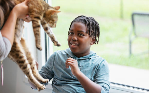 아프리카계 미국인 소년 충족 그의 새로운 애완 동물 고양이 - child domestic cat little boys pets 뉴스 사진 이미지