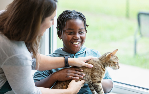 A woman volunteering at an animal shelter helping an African-American boy with the cat he is adopting. They are in a meet and greet room holding and petting the cat.
