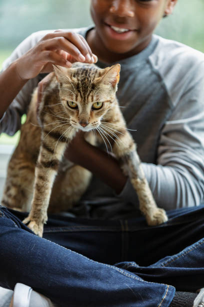 istock Happy African-American boy holding pet cat 1383123496