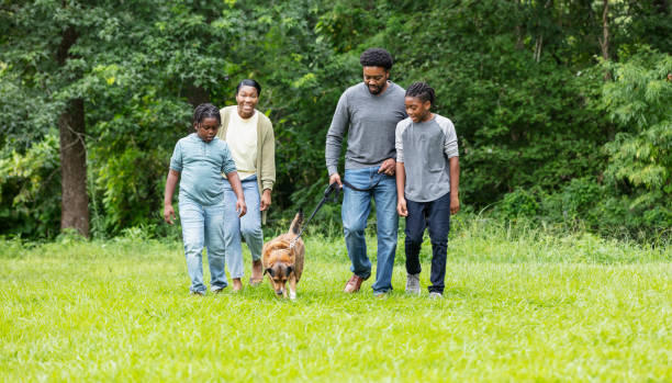 140+ Black Family Walking Dog Stock Photos, Pictures & Royalty-Free ...