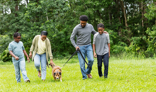 An African-American family with two boys, 9 and 11 years old, walking their dog on a leash in a grassy field at the park. The father is holding the leash and mother is reaching down to pet the dog.