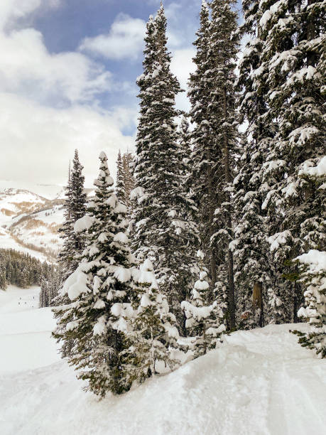 Ski resort Colorado USA