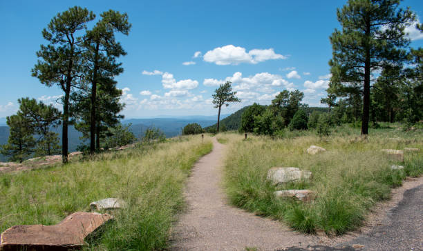istock Paved walking path going through the grass and sparse trees up high with mountains in the distance. 1383128610
