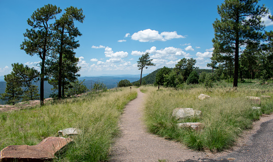 This paved walking trail is easy to reach. It's convenient for just about anyone to drive to and enjoy. It not only provides a great, relaxing experience for rest breaks and snacks, but also a huge view at the valley below if you approach the edge.