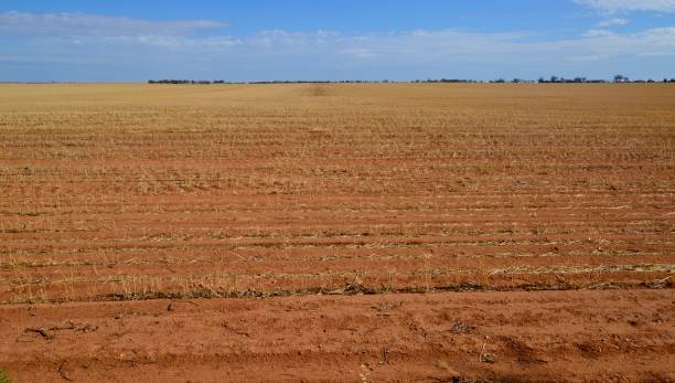 Hot dry and dusty drought affected Australian outback Mallee farm wheat field after a meager harvest from a low angle stock photo