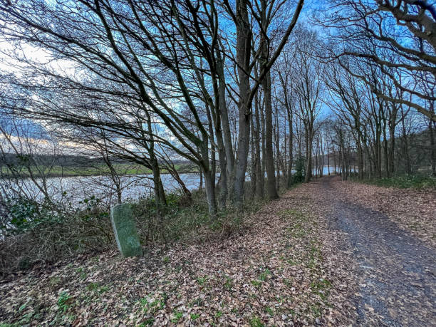 istock A forest path next to the river called 
