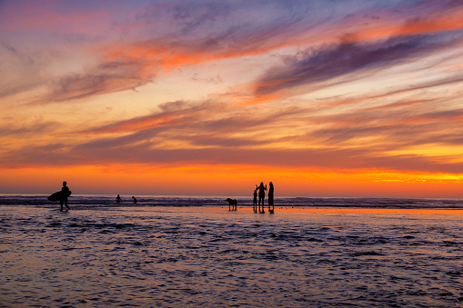 Family and Surfer at Sunset Beach. Shot at Cardiff State Beach in Cardiff-by-the-Sea, California in San Diego County.
