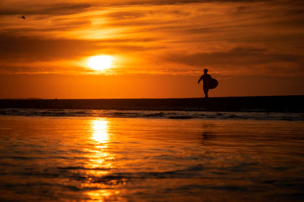 istock Surfer at Cardiff State Beach at Sunset 1383133446