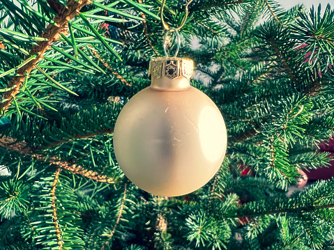 A ball as decoration on a green Christmas tree.
