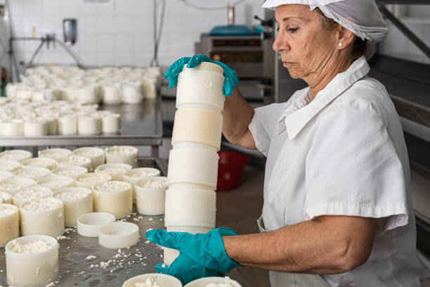 istock older worker stacking the moulds filled with curds 1383135182