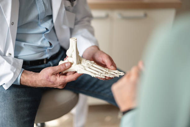 primer plano de un médico general que muestra huesos de un pie en un esqueleto - ankle fotografías e imágenes de stock