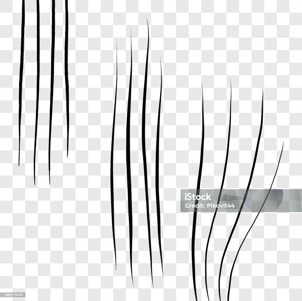 Animal Scratch Reference Animal Scratches Set Stock Illustration - Download Image Now ...