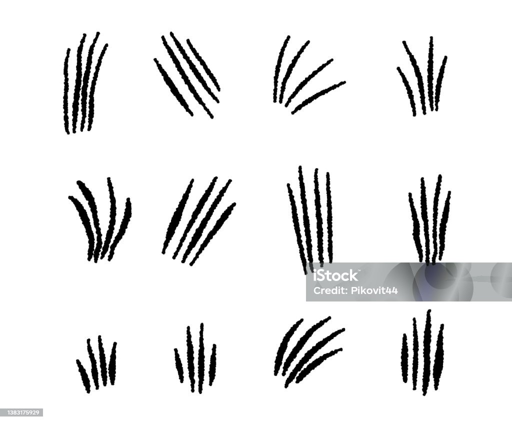 Animal Scratch Reference Animal Scratches Set Stock Illustration - Download Image Now - Animal ...