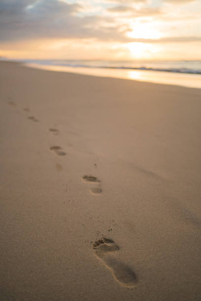istock Scenic view of footprints on sandy beach at sunrise 1383181744
