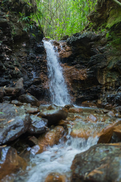 istock Scenic view of waterfall flowing down rocks 1383181871