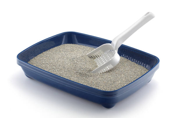 blue cat litter tray isolated on white with grey litter and a scoop - litter imagens e fotografias de stock