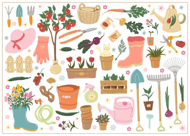 Set  hand drawn vector isolated elements of Gardening. Garden tools. Springtime. Vegetables. Garden flowers. Garden accessories. Color image on a white background. Set  hand drawn vector isolated elements of Gardening. Garden tools. Springtime. Vegetables. Garden flowers. Garden accessories. Color image on a white background. spring clipart stock illustrations