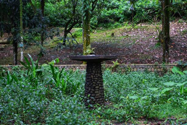 istock Abandoned drinking pond for bird in the middle of forest 1383205708