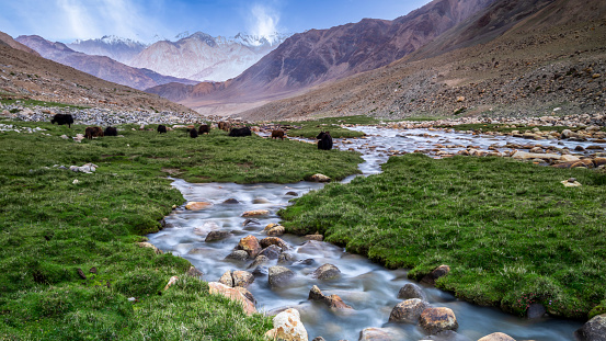 Paisaje de montañas de arenisca con río y valle verde en el Himalaya. Valle de Nubra, Jammu y Cachemira, India. photo