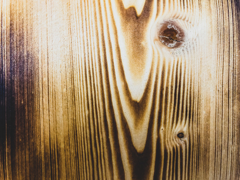 Burned wood as a texture or background.