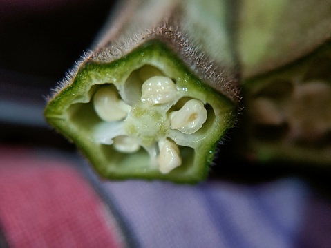 Macro shot of okra , ladyfinger also known as okra cut into two pieces