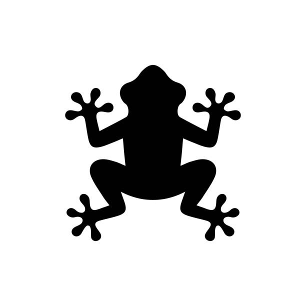 wektorowa izolowana ikona żaby na białym tle - toad green isolated white stock illustrations