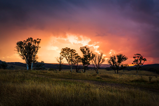 Sunset storm clouds over rural Australian countryside, with gum trees and undulating hills.  A typical Australian view in rural areas