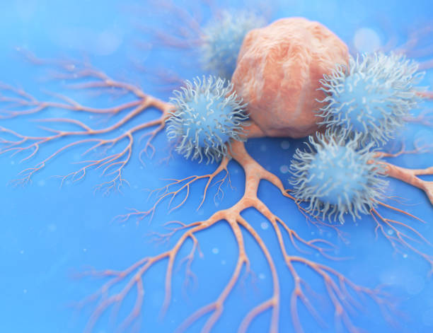 NK Cell (Natural Killer Cell) Attacking a Cancer Cell NK Cell (Natural Killer Cell) Attacking a Cancer Cell gene therapy stock pictures, royalty-free photos & images