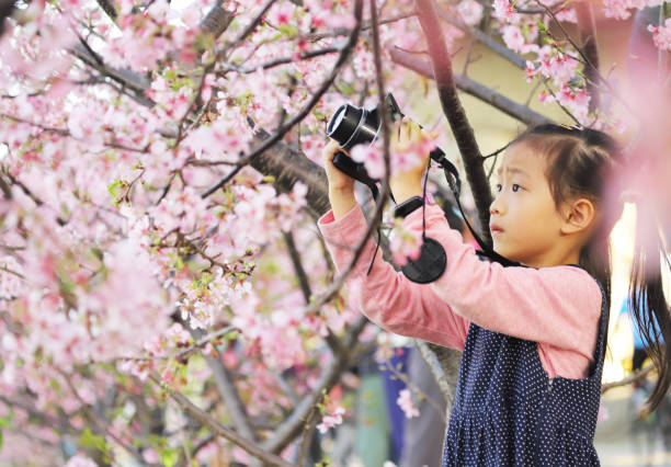 a smiling Asian girl take photos with a digital camera under Cherry trees.