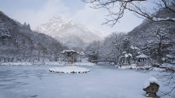 um pequeno lago coberto de neve branca no templo baekyangsa e a cena de neve ao redor - bench winter snow mountain - fotografias e filmes do acervo