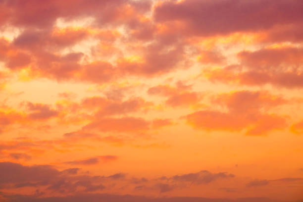 istock Colorful sky at sunset. 1383288208