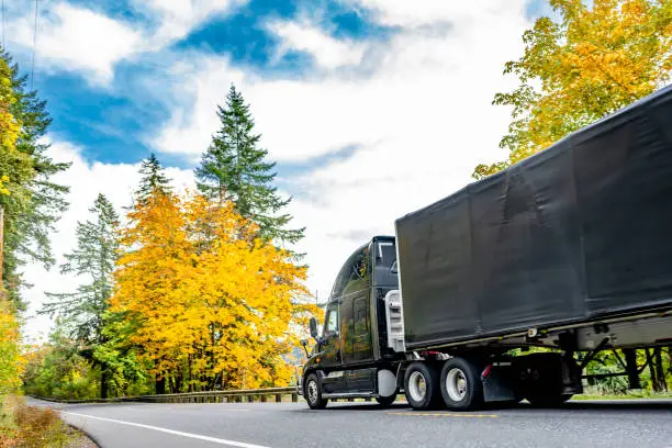 Photo of Black long haul big rig semi truck with high cab transporting cargo in black tented frame semi trailer running on the road with autumn yellow trees on the side