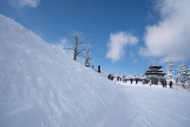 White winter snow scene in Deogyusan National Park