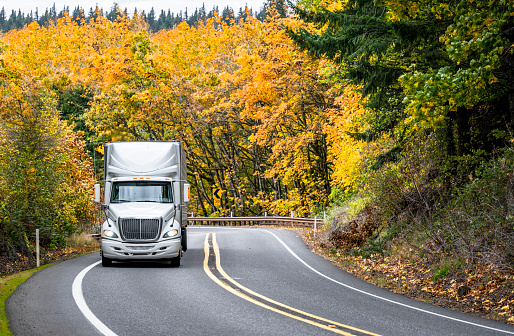 Professional white big rig industrial semi truck transporting commercial cargo in refrigerator semi trailer running on autumn mountain road with yellow trees on the sides in Columbia Gorge area