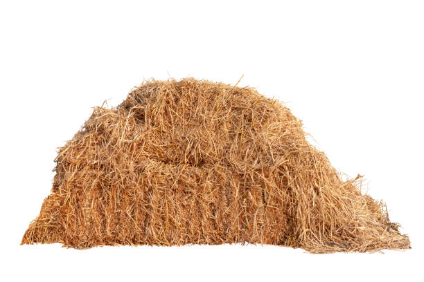 A pile of hay isolated on white background.