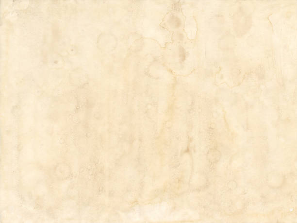 Old grunge paper sheet. Parchment texture background stock photo