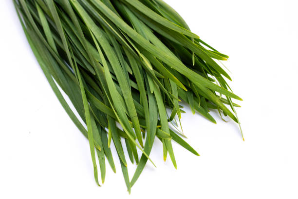 istock Fresh Chinese Chive leaves on white background. 1383345025