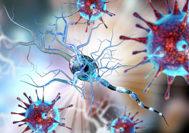 istock 3d render of human nerve cells 1383361598