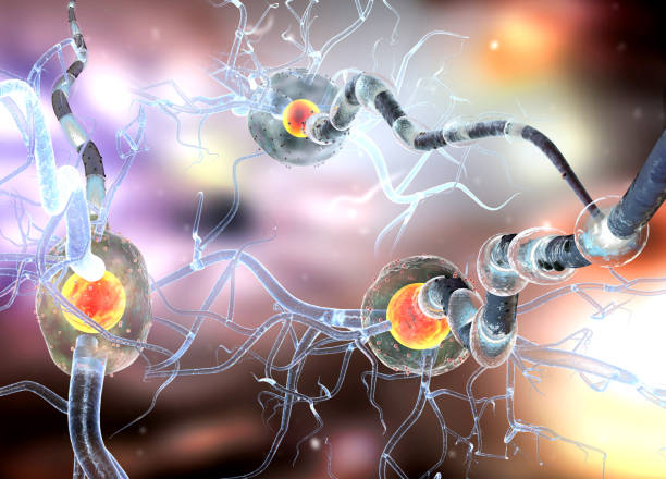 istock 3d render of human nerve cells 1383362182