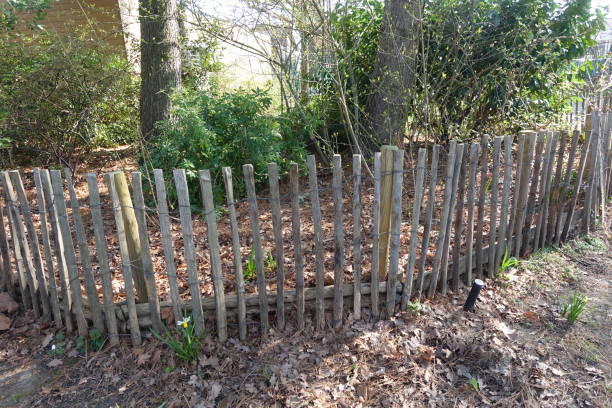 istock Vegetation protection pole fence 1383388635