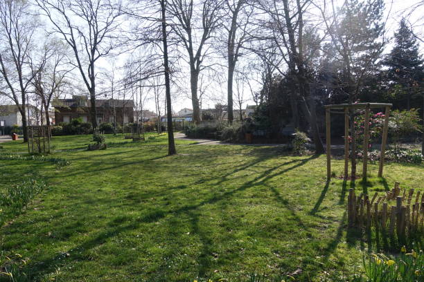 istock Urban public park  Sunlight  Bare trees 1383388756