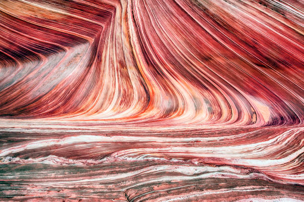 The Wave rock natural background The Wave is an awesome vivid swirling petrified dune sandstone formation in Coyote Buttes North. Natural rock background sandstone photos stock pictures, royalty-free photos & images